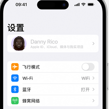 柳河appleID维修服务iPhone设置中Apple ID显示为灰色无法使用