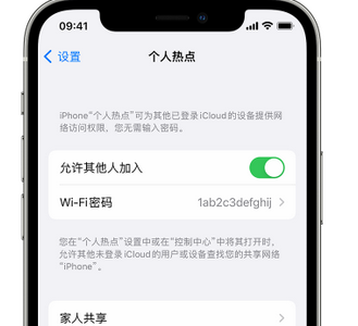 柳河apple服务站点分享iPhone上个人热点丢失了怎么办 