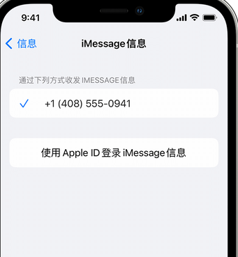 柳河apple维修iPhone上无法正常发送iMessage信息 