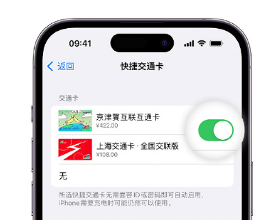 柳河apple维修点分享iPhone上更换Apple Pay快捷交通卡手绘卡面 