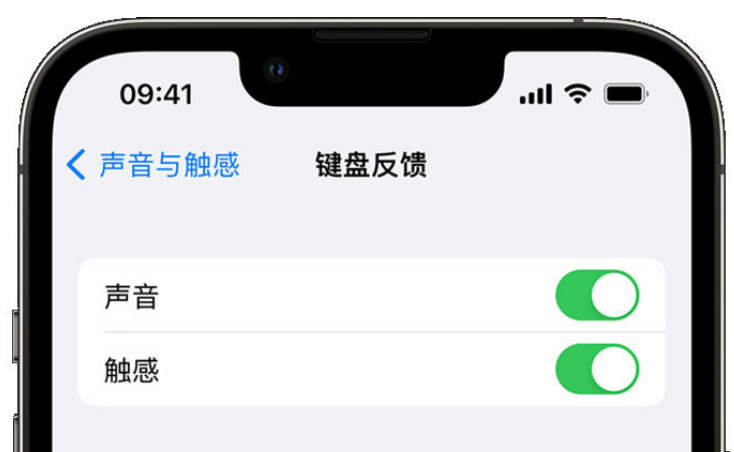 柳河苹果手机维修分享iPhone 14触感键盘使用方法 