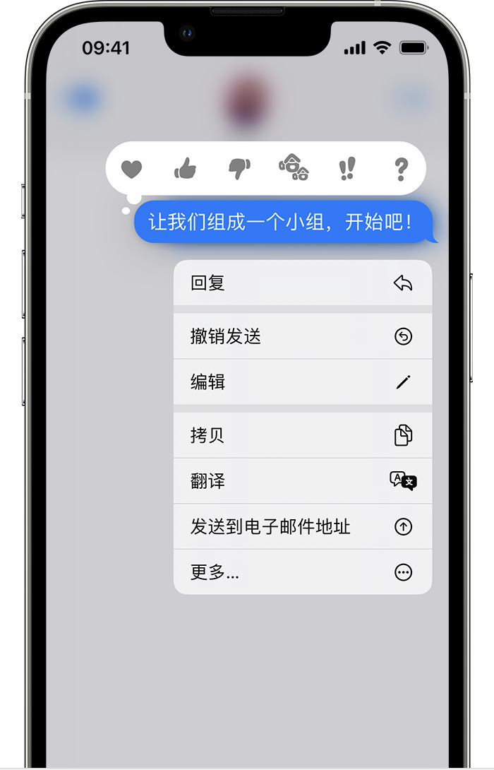 柳河苹果手机维修分享iPhone 信息发送后多长时间内可以撤回或编辑 