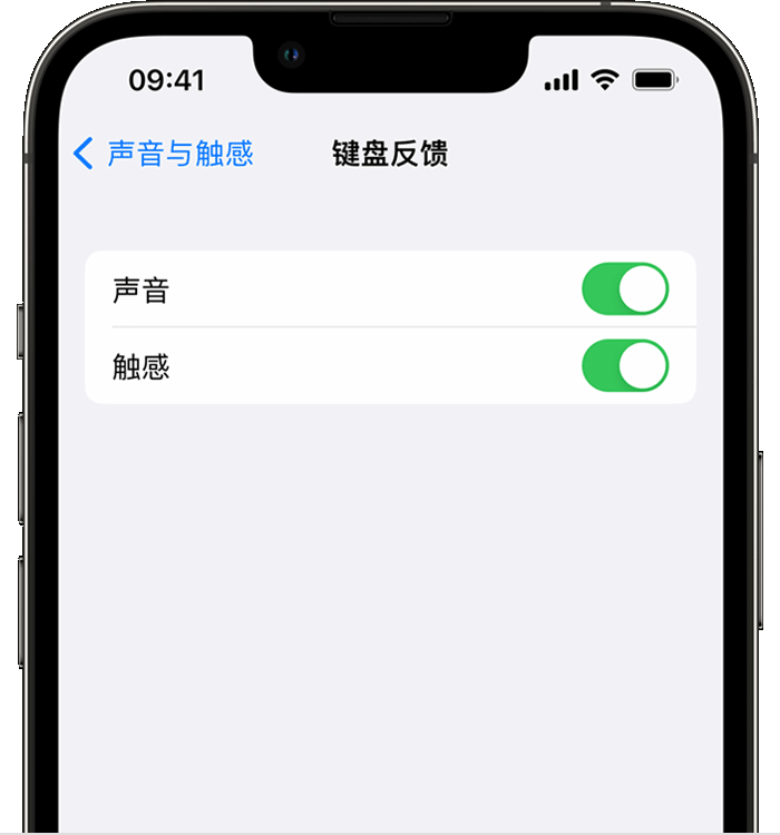 柳河苹果14维修店分享如何在 iPhone 14 机型中使用触感键盘 