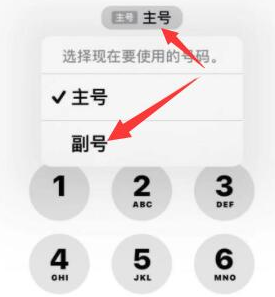 柳河苹果14维修店分享iPhone 14 Pro Max使用副卡打电话的方法 