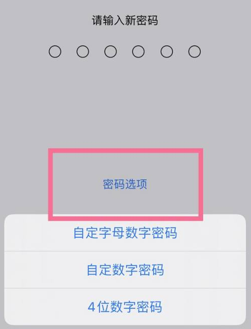 柳河苹果14维修分享iPhone 14plus设置密码的方法 