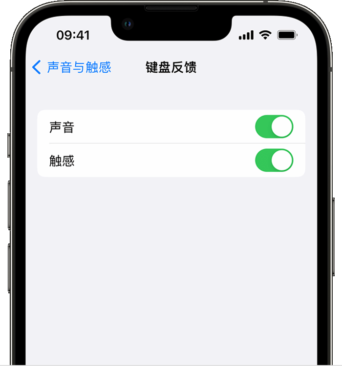 柳河苹果14维修分享iPhone 14 系列机型如何开启键盘声音或触感反馈 