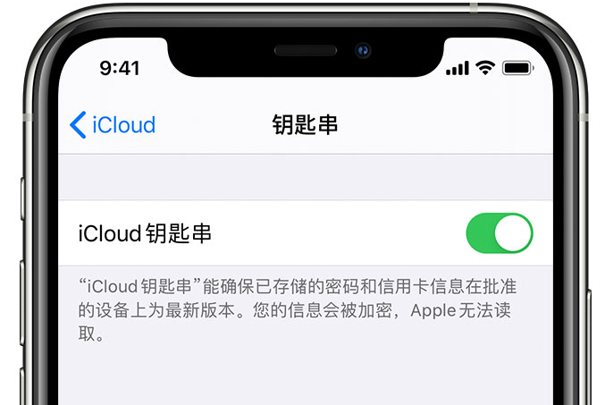 柳河苹果手机维修分享在 iPhone 上开启 iCloud 钥匙串之后会储存哪些信息 