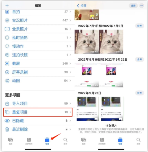 柳河苹果手机维修分享iOS 16 中相册重复项目功能使用方法 