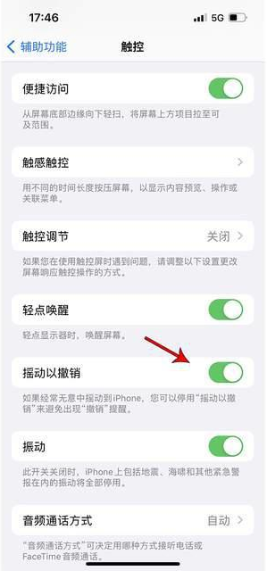 柳河苹果手机维修分享iPhone手机如何设置摇一摇删除文字 