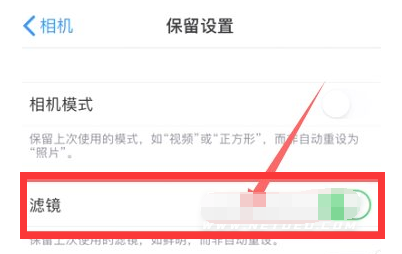柳河苹果13维修分享iPhone13拍照有绿点是怎么回事 
