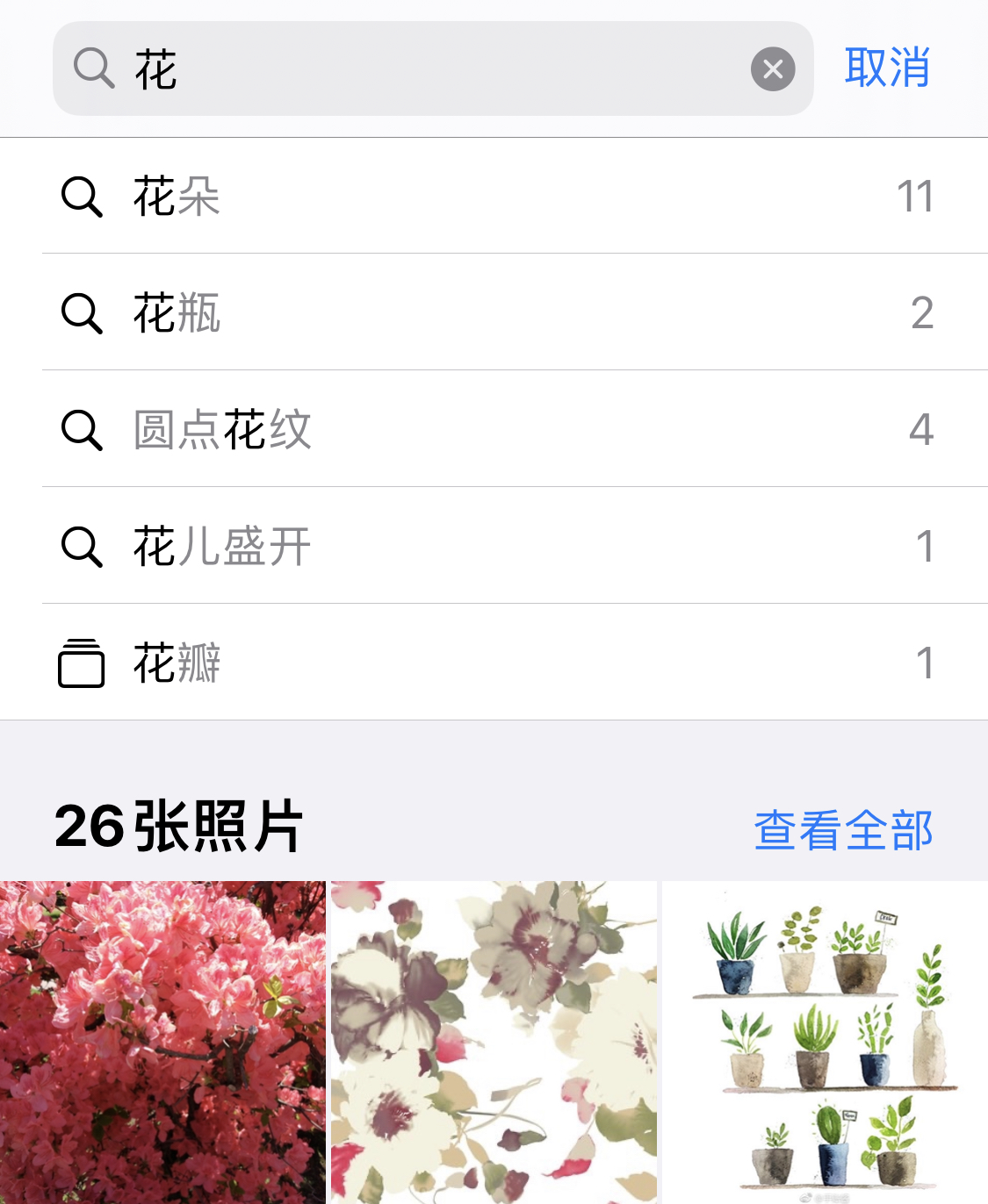 柳河苹果手机维修分享iPhone 小技巧 