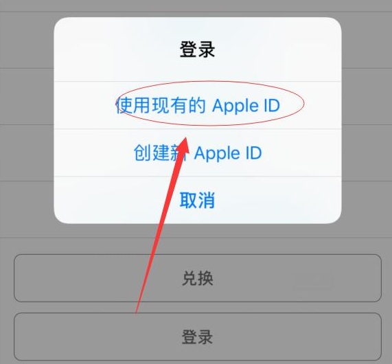 柳河苹果手机维修分享两台iPhone设备可以同时登录一个Apple ID吗 