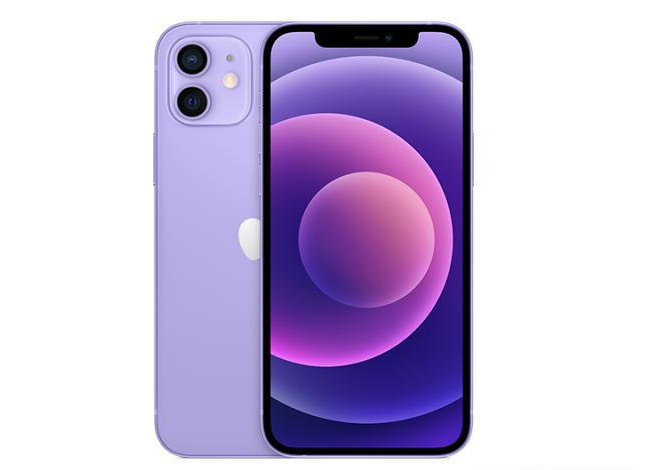 柳河苹果手机维修分享现阶段要不要入手紫色版iPhone12 