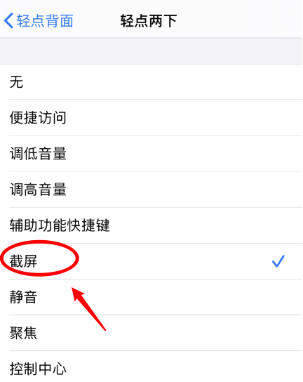 柳河苹果手机维修分享iPhone12如何启用双击截屏 