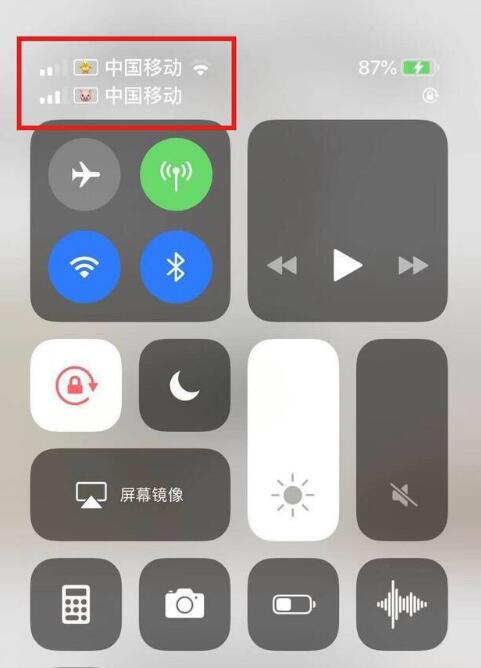 柳河苹果手机维修分享为 iPhone 12 双卡设置标签 