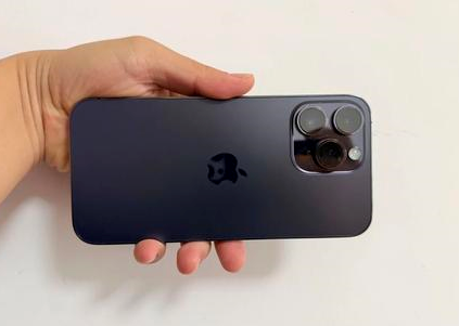 柳河苹果维修点分享iPhone 14 Pro Max黑屏少见故障盘点 